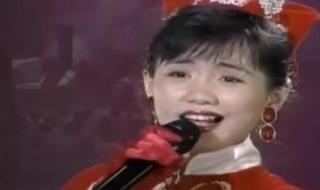 问情蔡幸娟 问情蔡幸娟